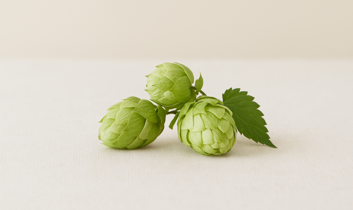 portland oregon, small batch, hop extract, hair and scalp