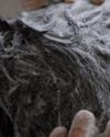 4 Signs Your Scalp May Be Sensitive