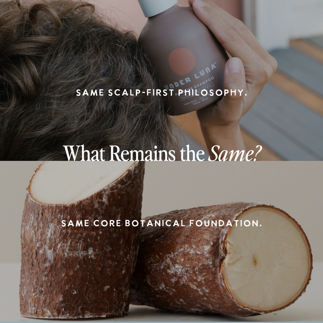Warrior Shampoo — Refined