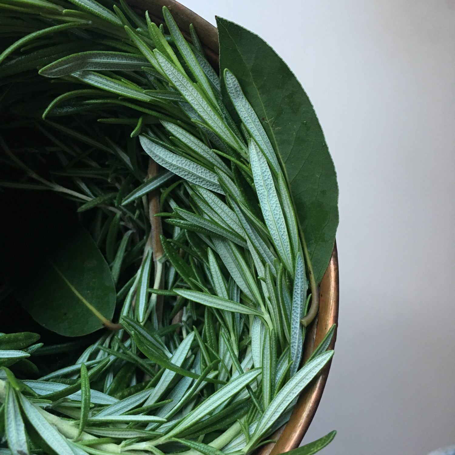 Bowl filled with fresh green rosemary leaves on a neutral background