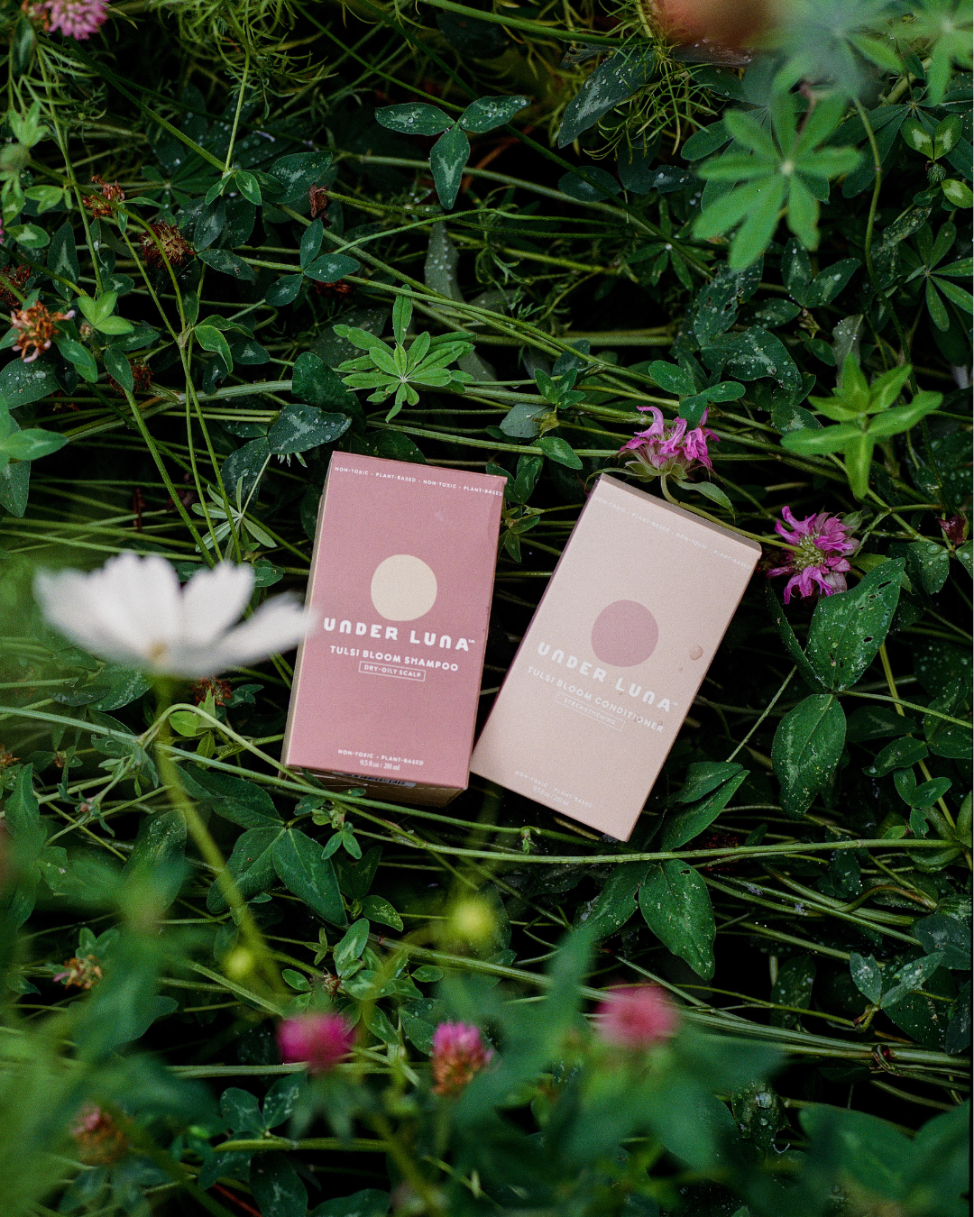 Two boxes labeled 'Under Luna' on a bed of green leaves and flowers