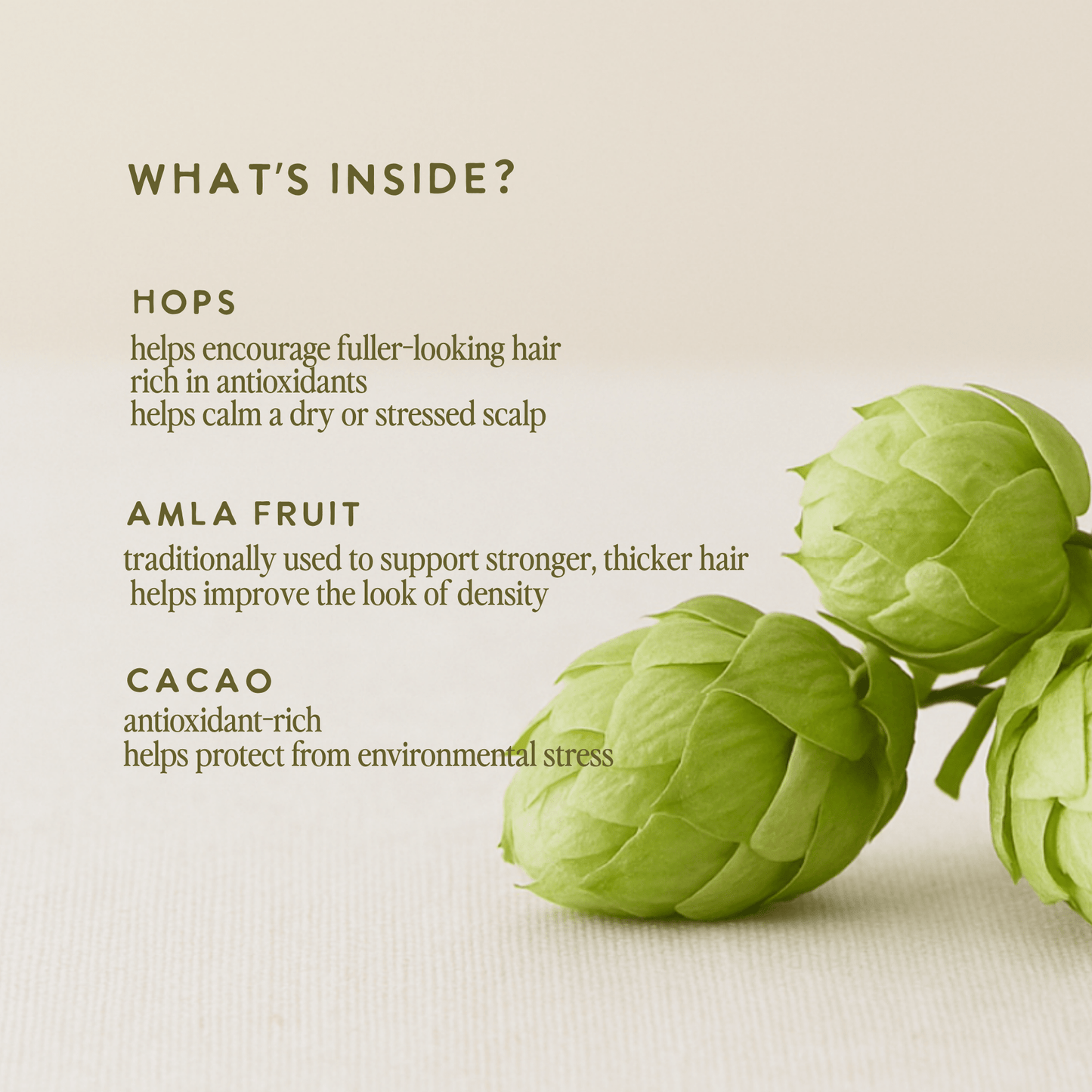 Limited Hop - Infused Growth Serum - UNDER LUNA™Hair Care