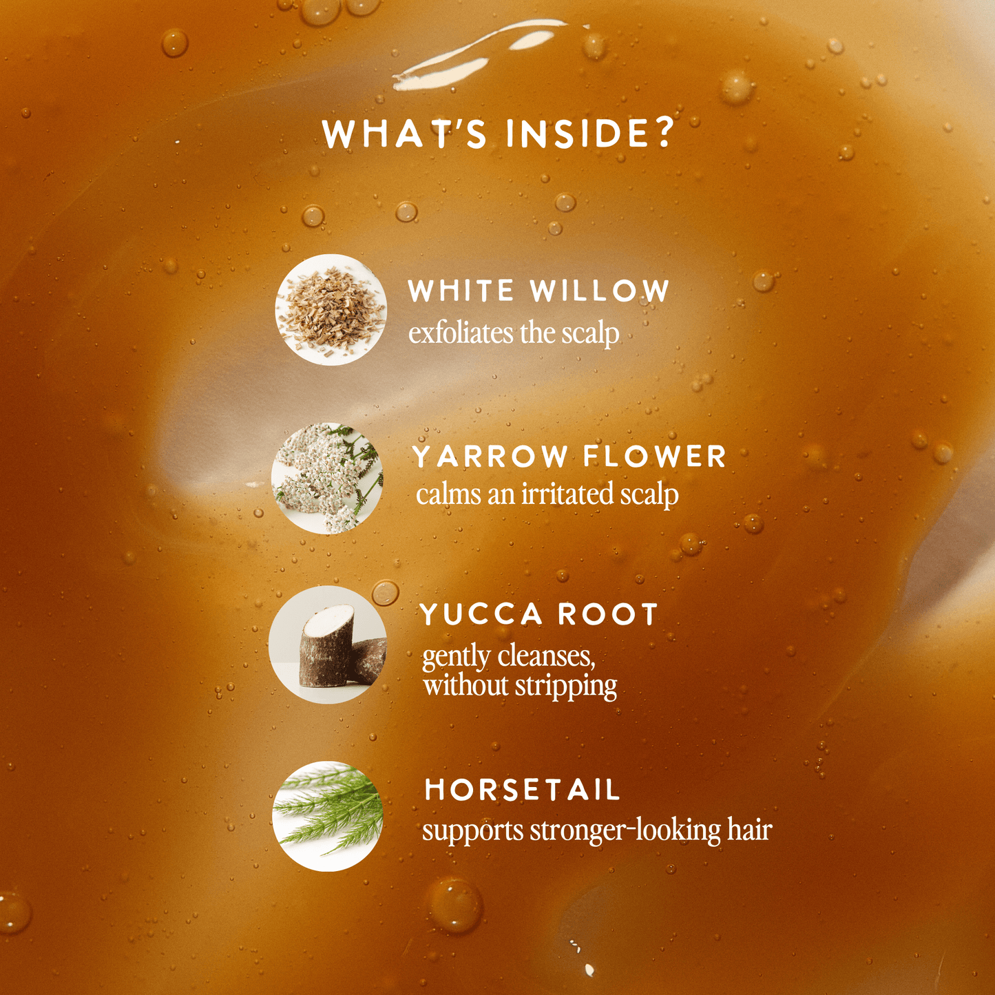 Warrior Shampoo - UNDER LUNA™Shampoo